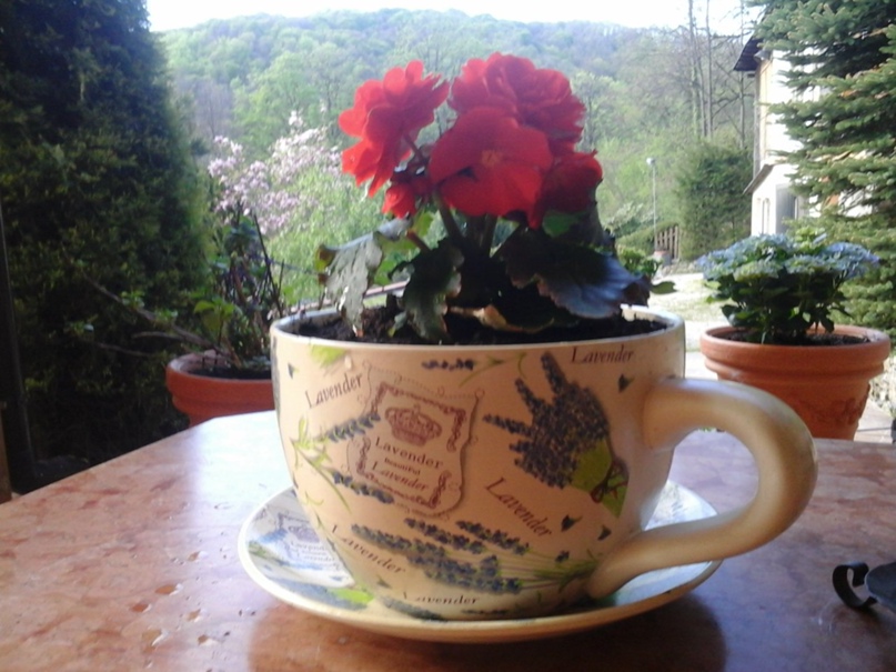 Лариса Макаркина | Одесса