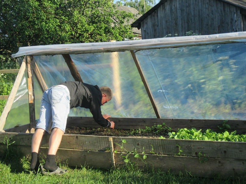 Виктория Гусева Александровна |