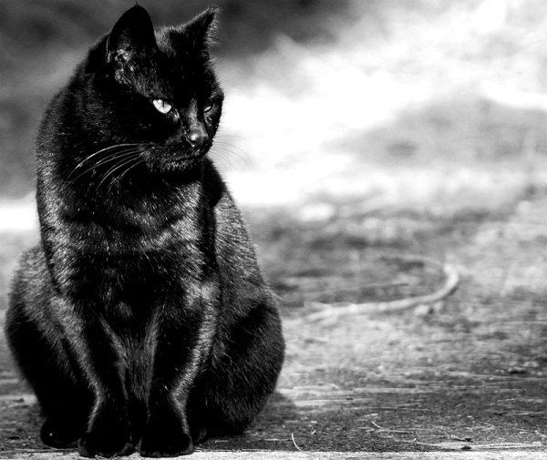 Татьяна Татьянова | Екатеринбург