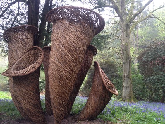 Ирина Даниленко | Белгород