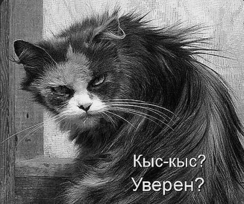 Антон Трофимов | Москва