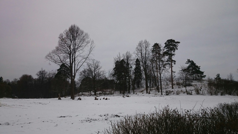 Егор Шустов | Санкт-Петербург