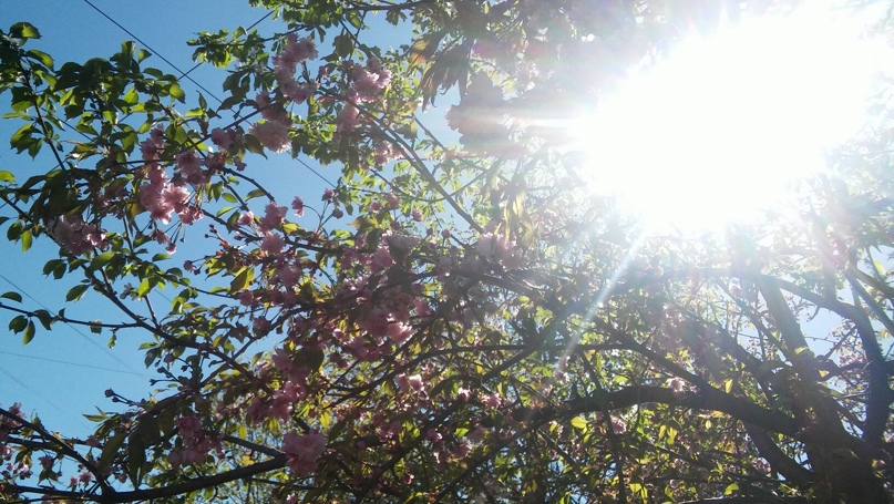 Ульяна Воробьёва | Санкт-Петербург