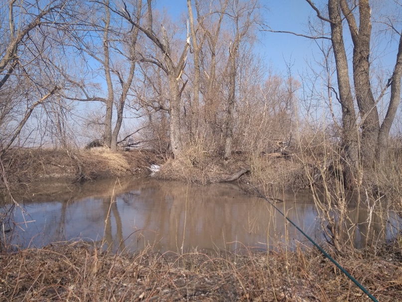 Анна Бурыкина | Барнаул