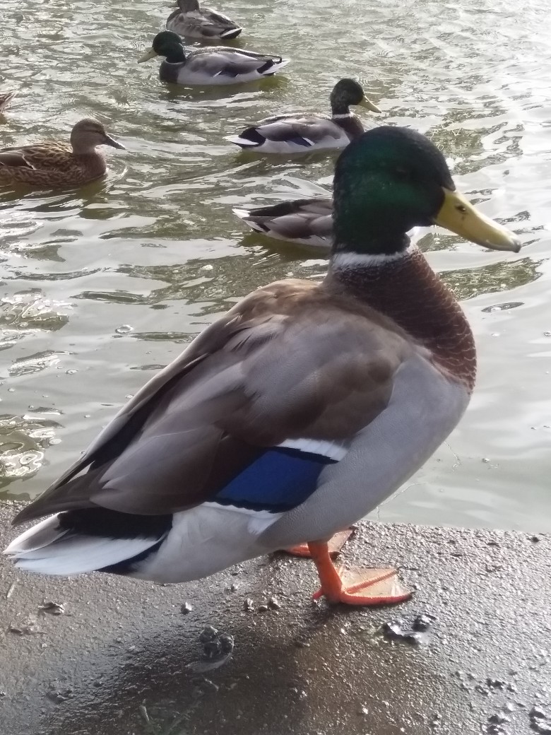 Вера Сеначина | Северодвинск