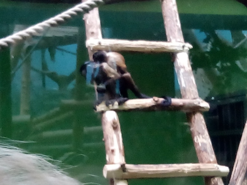 Ирина Вихарева | Ижевск