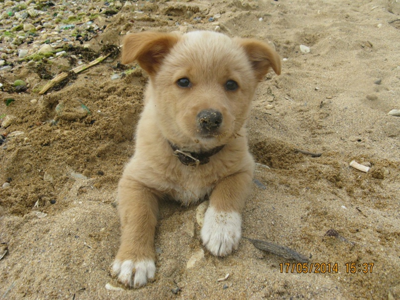 Таня Лебедева | Севастополь