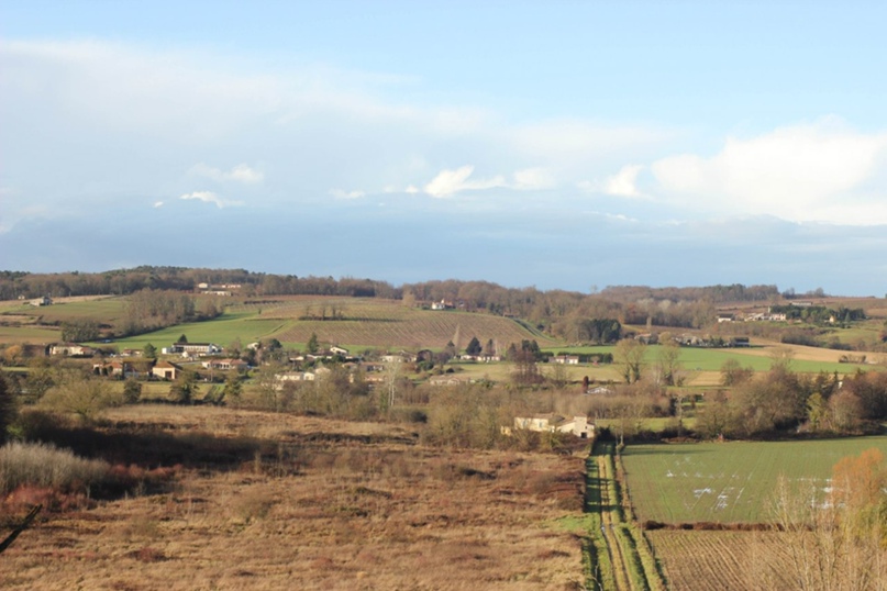 Роман Журавлёв | Bordeaux