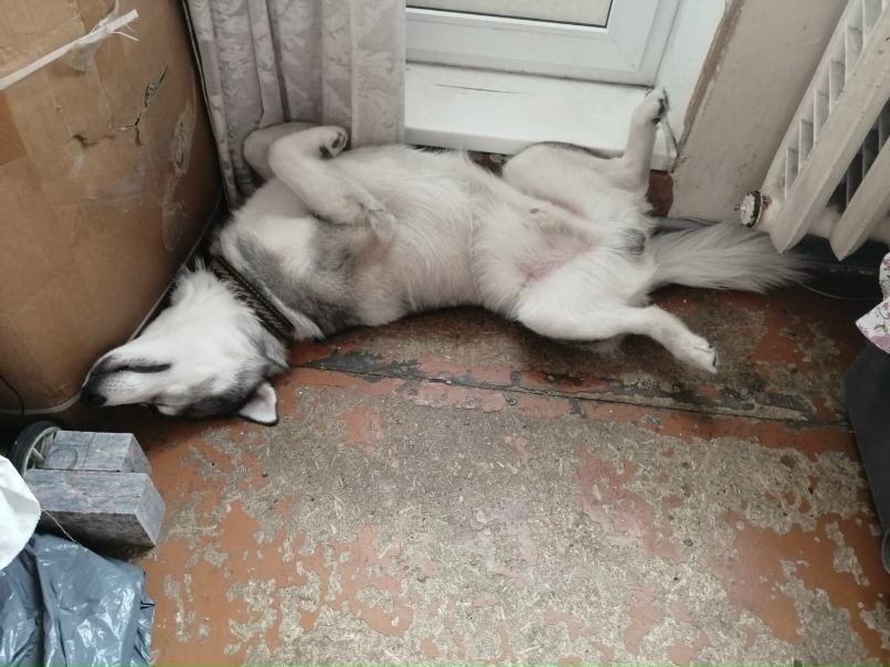 Юрий Юрьевич | Светогорск