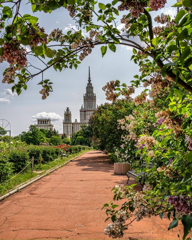 Ботанический сад мгу фото Ботанический сад мгу фото