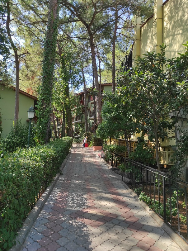 Наталья Юшкина | Гомель