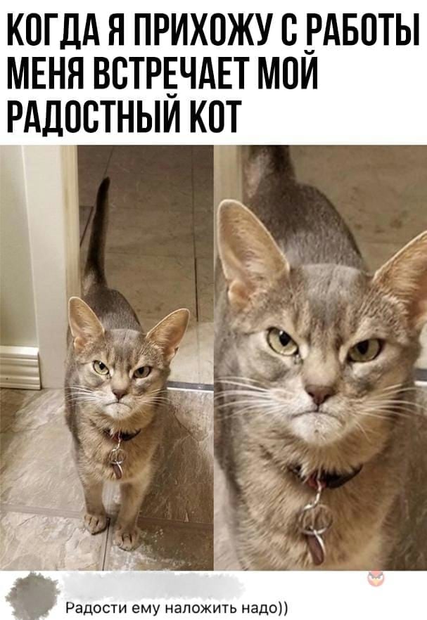 Алексей Бармин | Псков