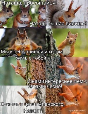 Olga Ventslav | Санкт-Петербург