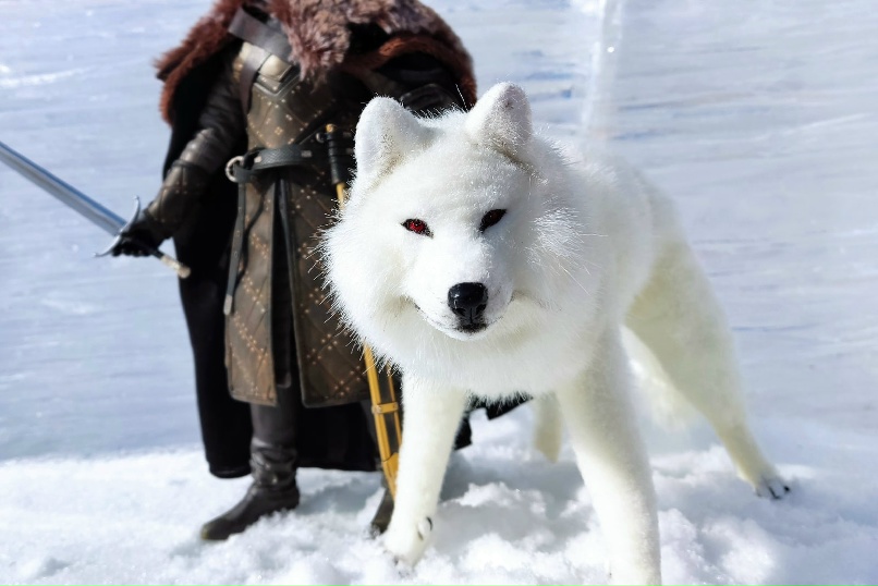 Елена Богданова |