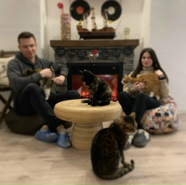 Островок уюта и спокойствия. Где можно отвлечься ото всего. Передохнуть. Набрать