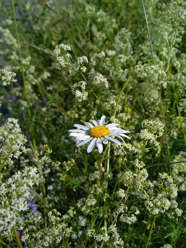 Сергей Кот | Санкт-Петербург