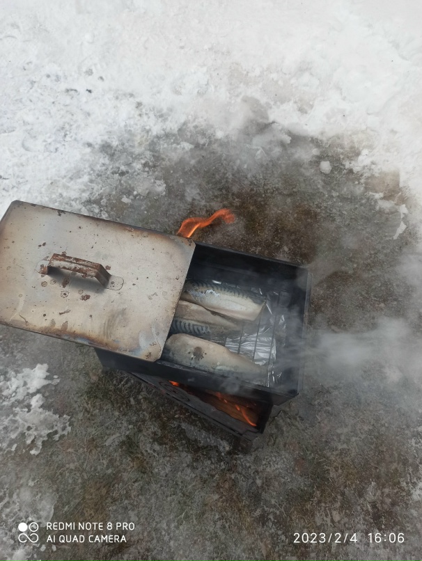 Виталий Ситников | Гатчина