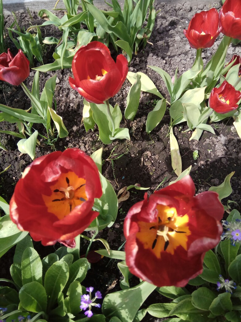 Татьяна Новицкая | Санкт-Петербург