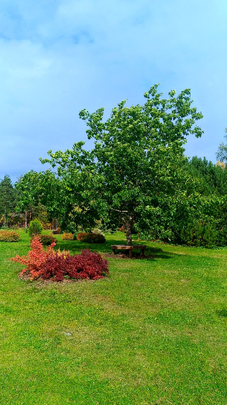 Любовь Богданова |