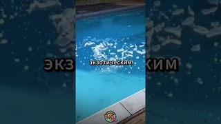 отдохнул в Тайланде