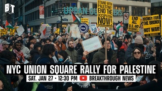 NYC Union Square Rally For Palestine |