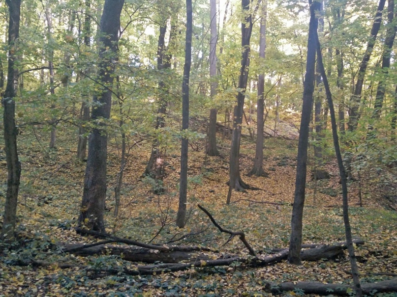 Андрей Литовченко ♂SIN ♂ | Белгород