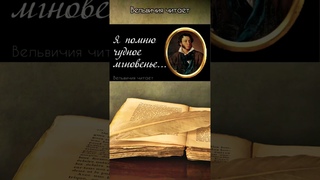 Александр Пушкин “Я помню чудное мгновенье...“ #стихи #поэзия #shorts