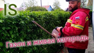 Кошу газон. Стригу изгородь. Mowing the lawn. I'm cutting the hedge.