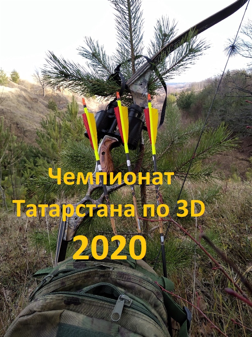 Афиша Казань Чемпионат Республики Татарстан по 3D стрельбе из