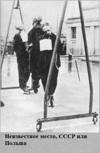 Источник: Vernichtungskrieg. Verbrechen der Wehrmacht 1941 bis 1944, Ausstellungskatalog, Hamburg 1997