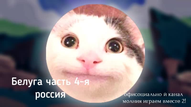 сборник белуги часть 4
