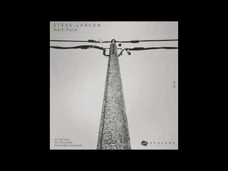 Steve Larson - Critical Path []