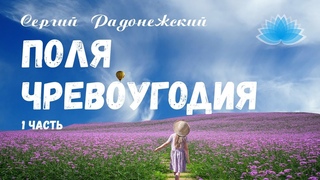 Софоос. Ченнелинг. Сергий Радонежский “Поля чревоугодия“ 1 часть.